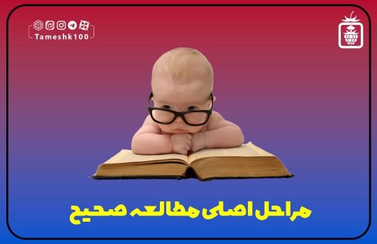 photo 2023 12 12 21 02 06 540x350 - مراحل اصلی مطالعه صحیح