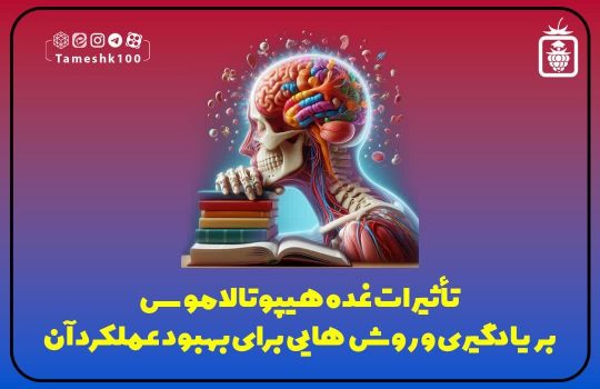 تاثیر غده هیپوتالاموس بر یادگیری