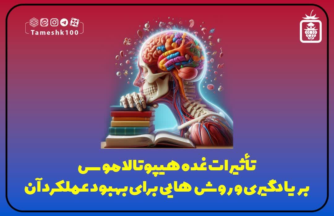 تاثیر غده هیپوتالاموس بر یادگیری