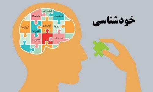 چگونه بهترین انتخاب رشته را داشته باشیم؟ photo 2024 06 02 13 11 33 - چگونه بهترین انتخاب رشته را داشته باشیم؟