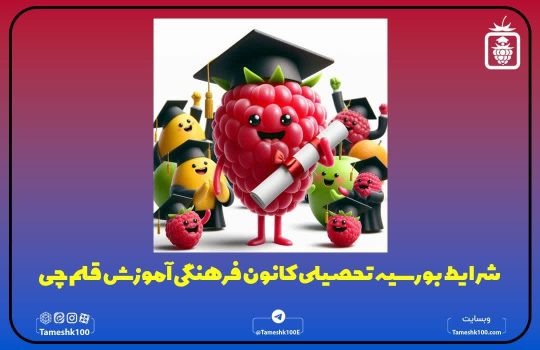 بورسیه قلم چی