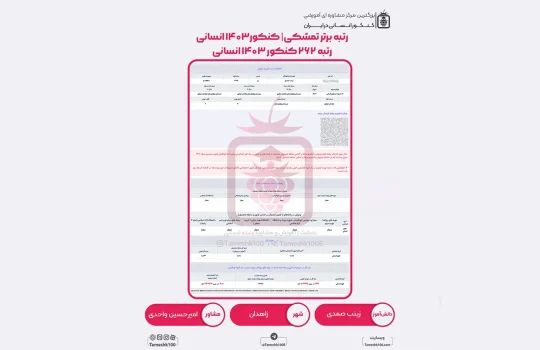 زینب صمدی 540x350 - زینب صمدی <br> رتبه 262 منطقه 2