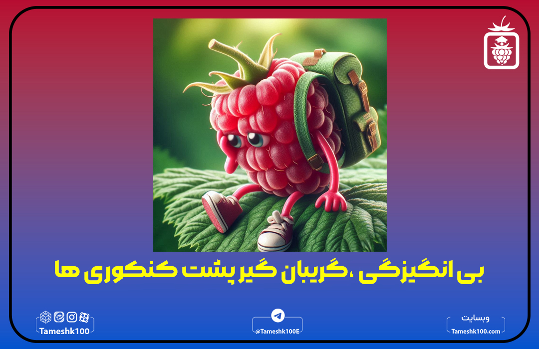 41545 - بی انگیزگی، گریبان گیر پشت کنکوری ها