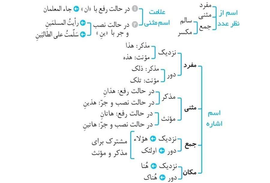 IMG 20241123 203400 563 - چگونه عربی بخوانیم؟! (آشنایی با تیپ سوالات عربی کنکور  ونحوه مطالعه هر کدام)