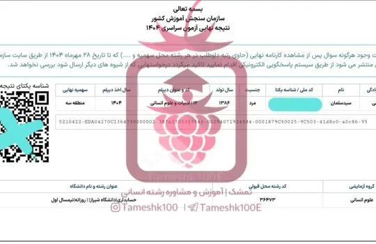 سلمان نسیمی 540x350 - سلمان نسیمی <br>حسابداری دانشگاه شیراز